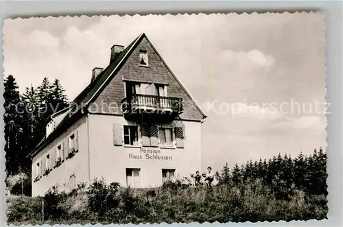 AK / Ansichtskarte Winterberg Hochsauerland Haus Schlesien Privatpension Kat. Winterberg