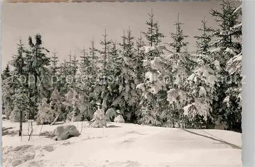 AK / Ansichtskarte Winterberg Hochsauerland Kahler Asten Kat. Winterberg