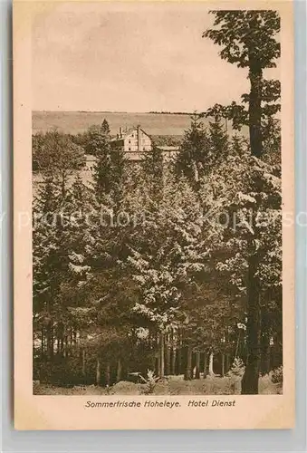 AK / Ansichtskarte Hoheleye Hotel Dienst Kat. Winterberg