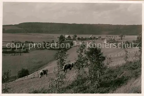 AK / Ansichtskarte Lenneplaetze Panorama Kuehe Weide Kat. Winterberg