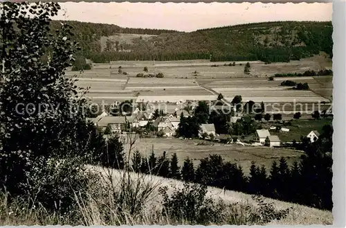 AK / Ansichtskarte Hildfeld Panorama Kat. Winterberg