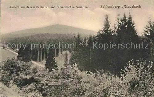 AK / Ansichtskarte Medebach Panorama Schlossberg Wald Kat. Medebach