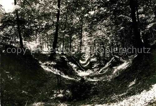 AK / Ansichtskarte Medebach Partie im Walde Kloster Glindfeld Kat. Medebach