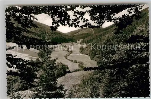 AK / Ansichtskarte Liesen Landschaftspanorama Liesetal Luftkurort Kat. Hallenberg