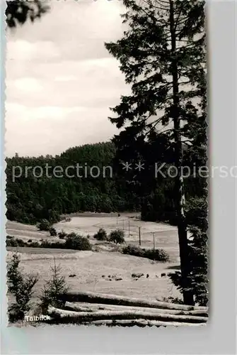 AK / Ansichtskarte Bromskirchen Talblick Landschaftspanorama Kat. Bromskirchen