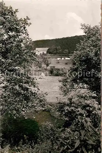 AK / Ansichtskarte Brilon Wald Gasthaus Pulvermuehle Kat. Brilon