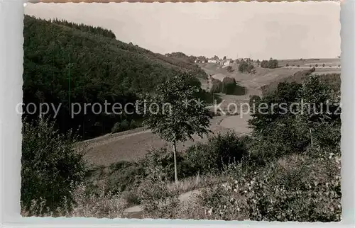 AK / Ansichtskarte Kuestelberg Panorama Kat. Medebach