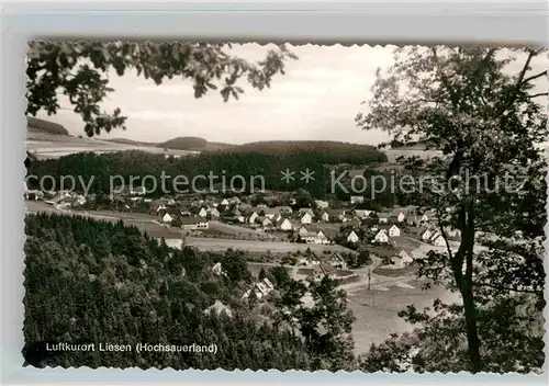 AK / Ansichtskarte Liesen Panorama Luftkurort Kat. Hallenberg