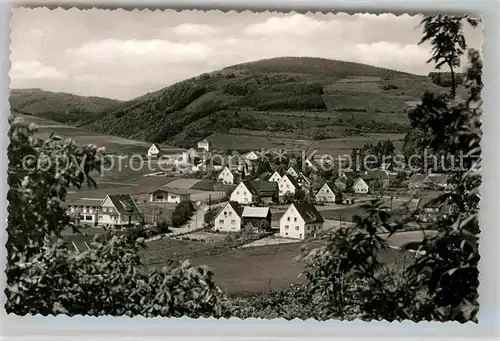 AK / Ansichtskarte Liesen Panorama Luftkurort Blick zur Pension Haus zur schoenen Aussicht Kat. Hallenberg