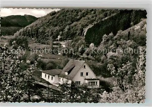 AK / Ansichtskarte Liesen Pension Liesetal Kat. Hallenberg