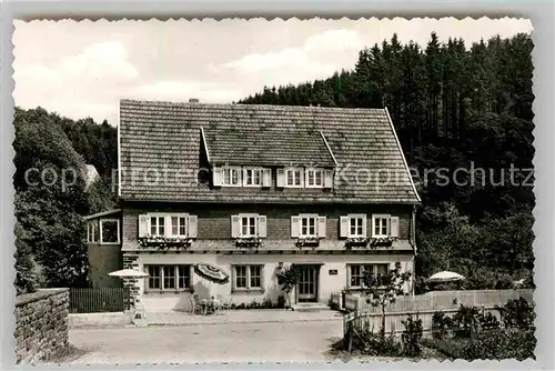 AK / Ansichtskarte Liesen Pension Haus Anneliese Luftkurort Kat. Hallenberg