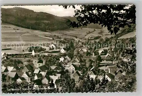 AK / Ansichtskarte Liesen Panorama Luftkurort Kat. Hallenberg