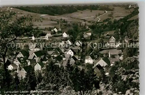 AK / Ansichtskarte Liesen Panorama Luftkurort Kat. Hallenberg