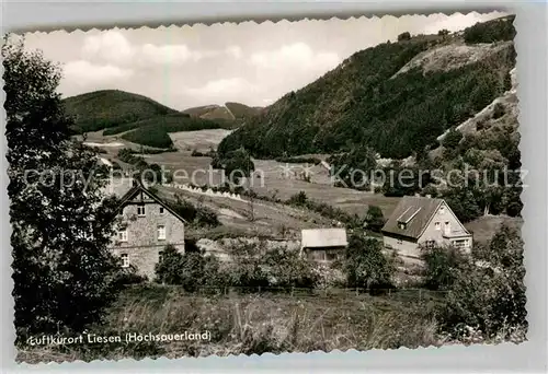 AK / Ansichtskarte Liesen Panorama Luftkurort Kat. Hallenberg