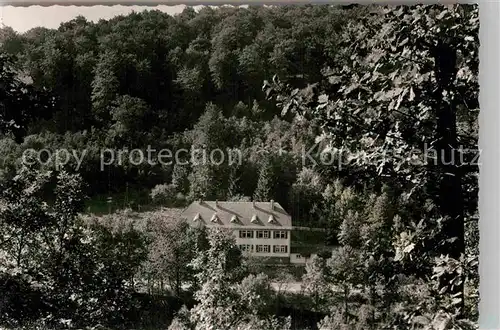 AK / Ansichtskarte Hallenberg Haus Waldruh Kat. Hallenberg