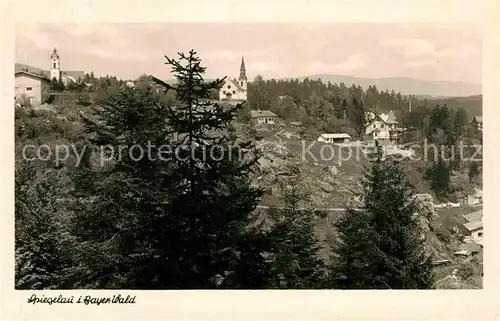 AK / Ansichtskarte Spiegelau Panorama Kat. Spiegelau