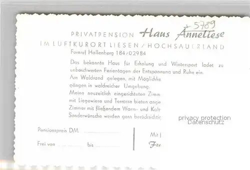 AK / Ansichtskarte Liesen Landschaftspanorama Gedenkstein Pension Haus Anneliese Luftkurort Kat. Hallenberg