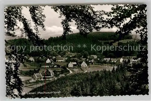 AK / Ansichtskarte Liesen Panorama Blick vom Waldrand aus Luftkurort Kat. Hallenberg