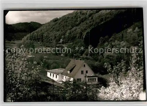 AK / Ansichtskarte Liesen Pension Liesetal Kat. Hallenberg