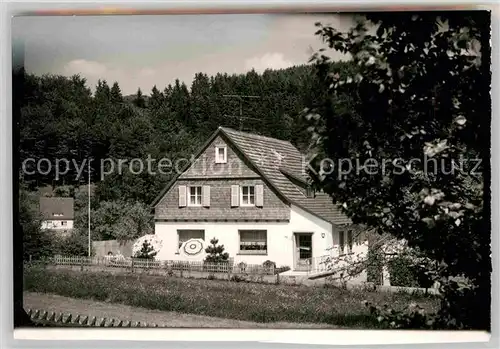 AK / Ansichtskarte Liesen Pension Luftkurort Kat. Hallenberg