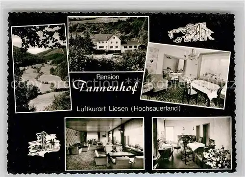 AK / Ansichtskarte Liesen Pension Tannenhof Landschaftspanorama Luftkurort Kat. Hallenberg