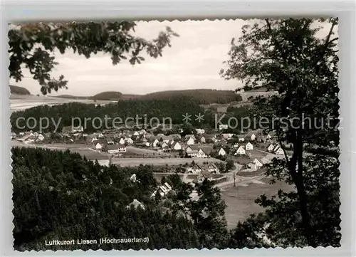 AK / Ansichtskarte Liesen Panorama Luftkurort Kat. Hallenberg