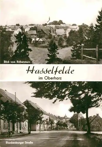 AK / Ansichtskarte Hasselfelde Blick vom Rabenstein Blankenburger Strasse Kat. Hasselfelde