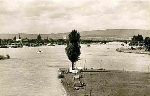 AK / Ansichtskarte Mainz Rhein Rhein Main Muendung