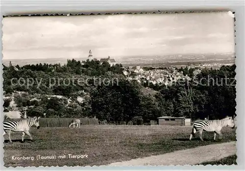 AK / Ansichtskarte Kronberg Taunus Panorama Blick zur Burg mit Tierpark Zebras Kat. Kronberg im Taunus