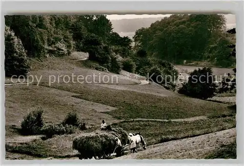 AK / Ansichtskarte Koenigstein Taunus Panorama Woogtal Pferdekarren Landwirtschaft Kat. Koenigstein im Taunus