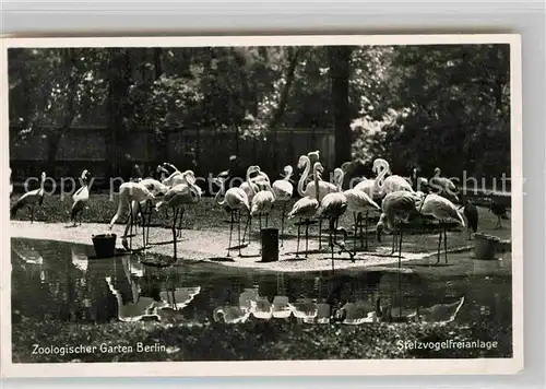 AK / Ansichtskarte Zoo Berlin Stelzvogelfreianlage  Kat. Tiere