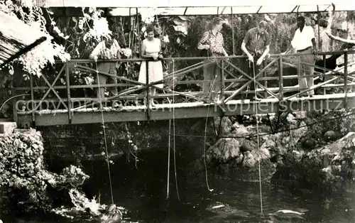 AK / Ansichtskarte Bermuda Island Fishing in Devils Hole Kat. Bermuda