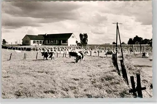 AK / Ansichtskarte Leichlingen Rheinland Hof Kuehe Kat. Leichlingen (Rheinland)