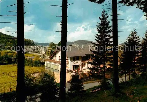 AK / Ansichtskarte Stryck Pension Cafe zum Paradies Ansicht vom Waldrand aus Kat. Willingen (Upland)