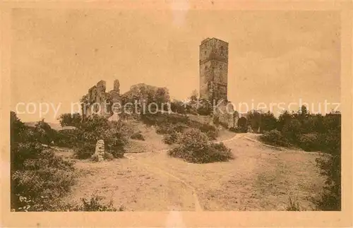 AK / Ansichtskarte Koenigstein Taunus Ruine Kat. Koenigstein im Taunus