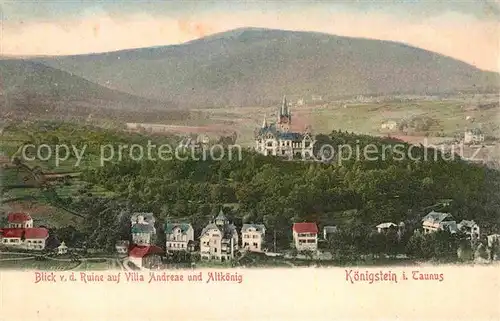 AK / Ansichtskarte Koenigstein Taunus Villa Andreae Altkoenig Kat. Koenigstein im Taunus