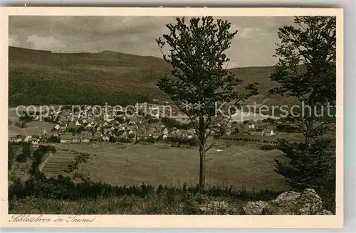 AK / Ansichtskarte Schlossborn Panorama Kat. Glashuetten