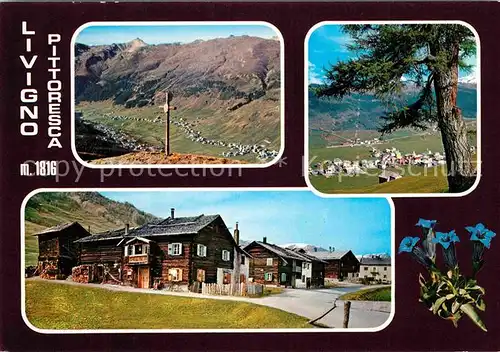 AK / Ansichtskarte Livigno Teilansichten Gipfelkreuz Alpenpanorama Blauer Enzian Kat. Livigno Sondrio