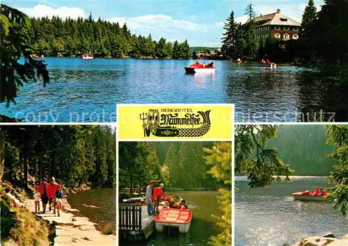 AK / Ansichtskarte Mummelsee Berghotel am See Wandern Bootfahren Schwarzwald Kat. Seebach