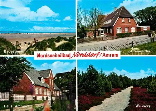 AK / Ansichtskarte Amrum Strand Haus Altenwerder Waldweg Haus Amrum Kat. Nebel