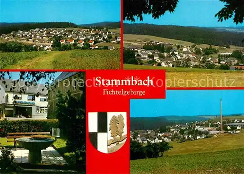 AK / Ansichtskarte Stammbach Fichtelgebirge Kat. Stammbach