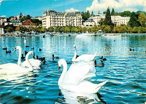 AK / Ansichtskarte Lausanne Ouchy Hotel Beau Rivage Schwaene Kat. Lausanne