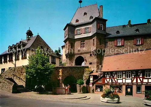 AK / Ansichtskarte Idstein Schloss Loewenbrunnen Kat. Idstein