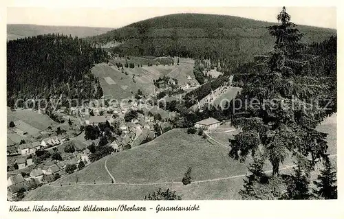 AK / Ansichtskarte Wildemann Panorama Klimatischer Hoehenluftkurort Kat. Wildemann Harz