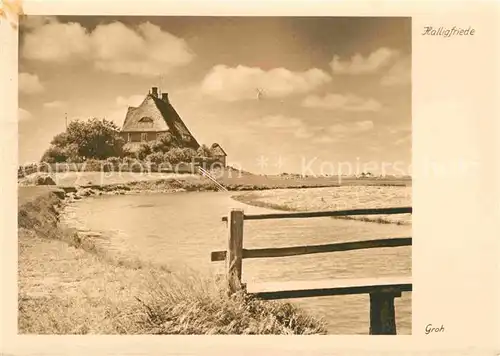 AK / Ansichtskarte Hallig Hooge Halligfriede Handabzug Kat. Hooge