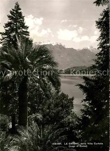 AK / Ansichtskarte Tremezzo Lago di Como Le Grigne dalla Villa Carlotta Comer See Kat. 