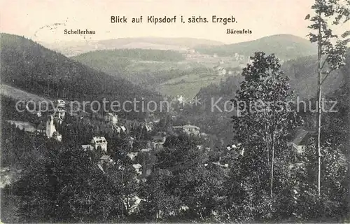 AK / Ansichtskarte Kipsdorf Schellerhaus Baerenfels Kat. Altenberg