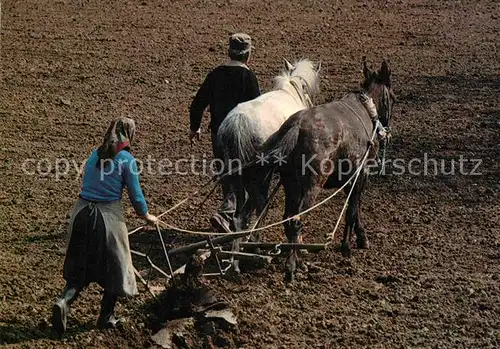 AK / Ansichtskarte Landwirtschaft Pflug Esel  Kat. Landwirtschaft