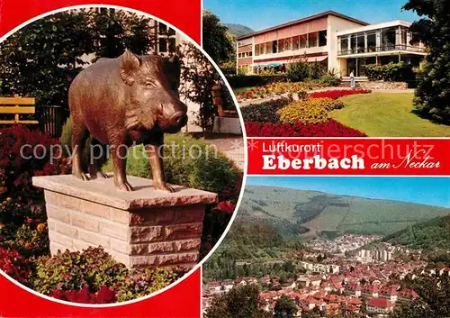 AK / Ansichtskarte Eberbach Neckar Panorama Luftkurort Kurhaus Eber Skulptur Kat. Eberbach