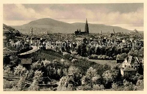 AK / Ansichtskarte Freiburg Breisgau Panorama mit Muenster Kat. Freiburg im Breisgau